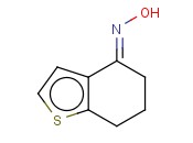 6,7-二氢<span class='lighter'>苯</span><span class='lighter'>并</span>[B]<span class='lighter'>噻吩</span>-4(5H)-酮肟