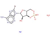 8-溴腺苷3',5'-环单磷酸钠盐<span class='lighter'>一</span>水
