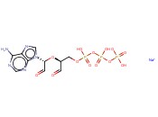 <span class='lighter'>ADENOSINE</span> 5'-<span class='lighter'>TRIPHOSPHATE</span>,<span class='lighter'>PERIODATE</span> <span class='lighter'>OXIDIZED</span> <span class='lighter'>SODIUM</span> SALT