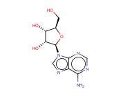 <span class='lighter'>ADENOSINE</span>, 99%