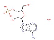 3'-腺苷<span class='lighter'>一</span>磷酸