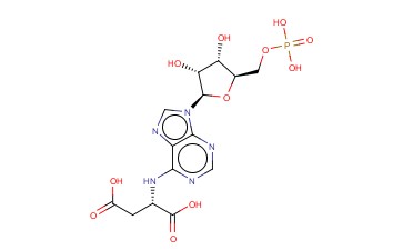 腺苷<span class='lighter'>酸</span>基琥珀<span class='lighter'>酸</span>