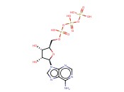 [GAMMA-<span class='lighter'>32</span>P]-ATP