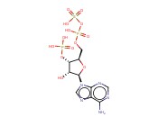 3'-PHOSPHOADENOSINE-5'-PHOSPHOSULFATE, [<span class='lighter'>35</span>S]