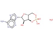 Adenosine Cyclophosphate