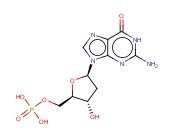 2ˊ-脱氧鸟苷-5ˊ-<span class='lighter'>一</span>磷酸