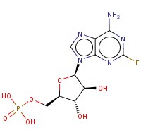 FLUDARABINE PHOSPHATE