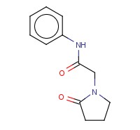 2-(2-OXOPYRROLIDIN-1-YL)-N-PHENYLACETAMIDE